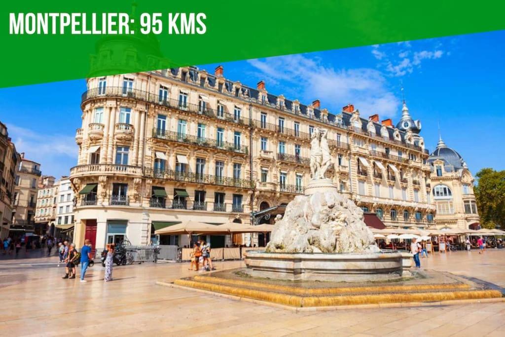 Apartmán Le Pagnol - Wifi - Clim Avignon Exteriér fotografie